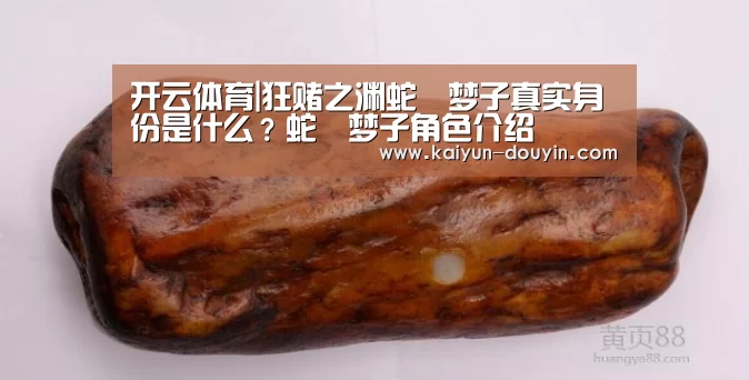 开云体育|狂赌之渊蛇喰梦子真实身份是什么?蛇喰梦子角色介绍(图2) 开云官网