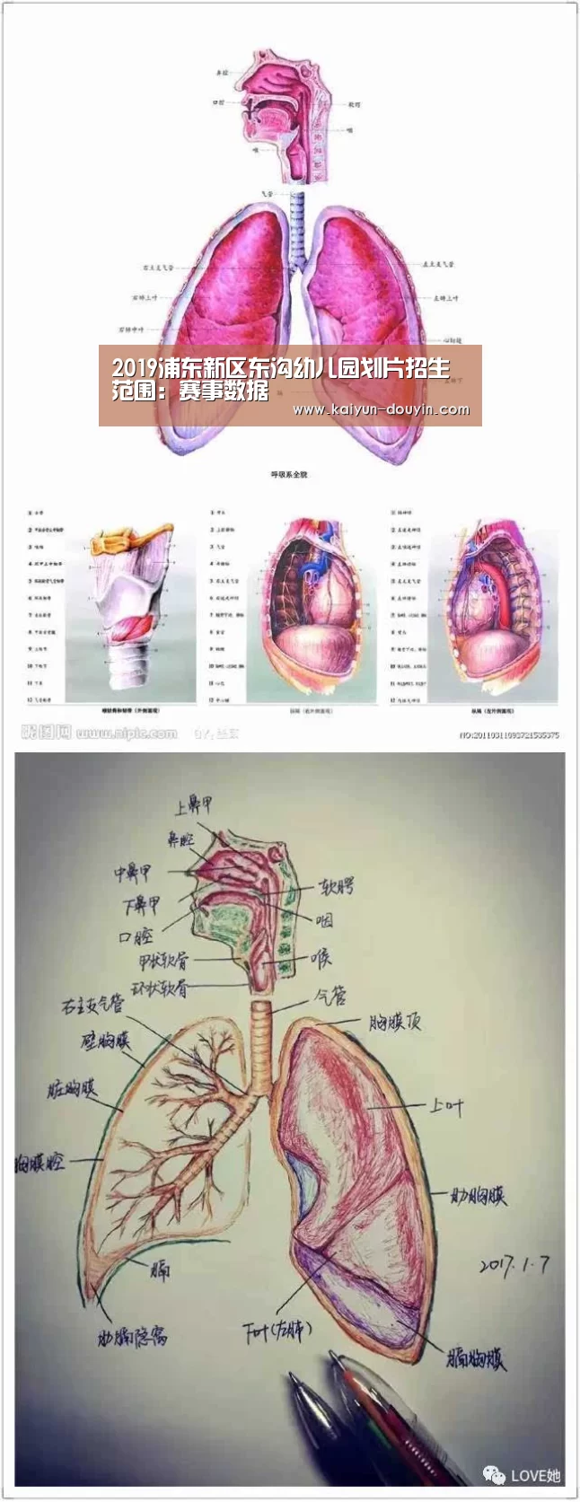 2019浦东新区东沟幼儿园划片招生范围:赛事数据(图1) 开云体育