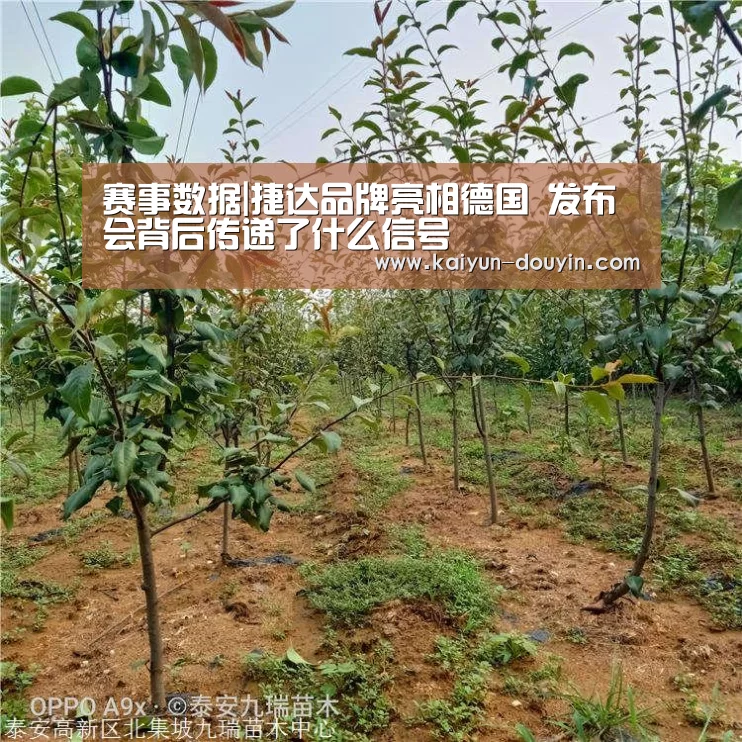 赛事数据|捷达品牌亮相德国 发布会背后传递了什么信号(图3) 赛事数据